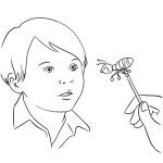 3.-Distraction_explorateur_vf